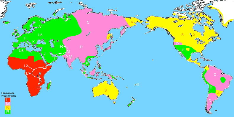 ミトコンドリアDNA分布地図