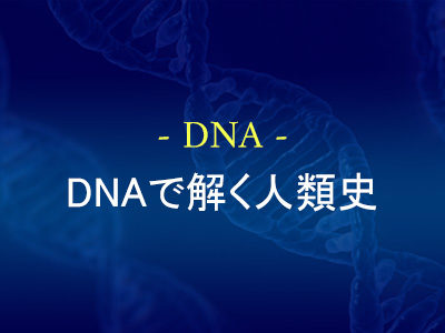 DNAで解く人類史