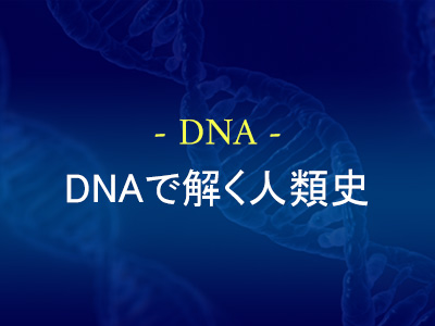 DNAで解く人類史