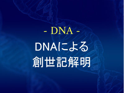 DNAによる創世記解明
