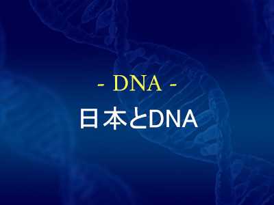 日本とDNA